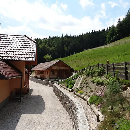 Trebusak Laze v Tuhinju