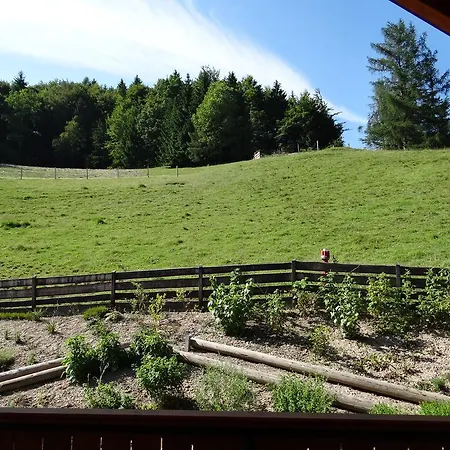 Apartmán Trebusak *