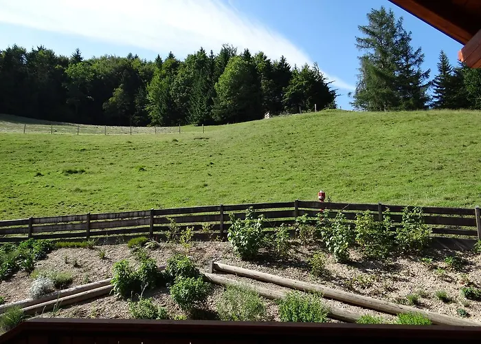 Apartament Trebusak *