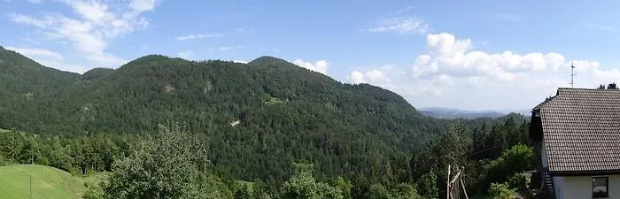 Apartament Trebusak Laze v Tuhinju