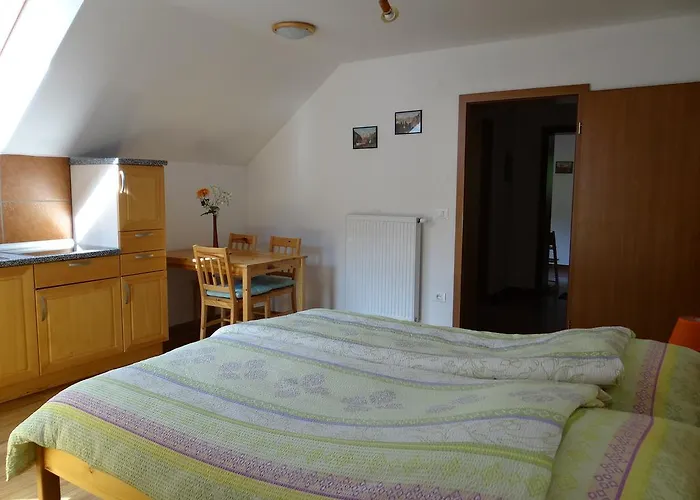 Apartament Trebusak *