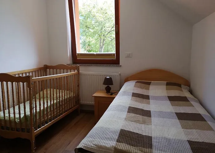 Apartament Trebusak *